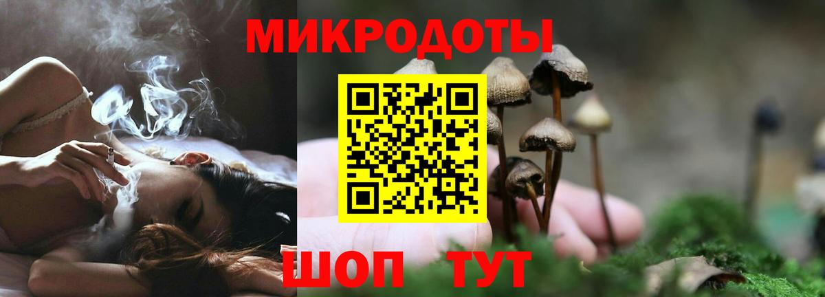 Люберцы  Псилоцибиновые грибы Psilocybine cubensis  Вход с VPN 